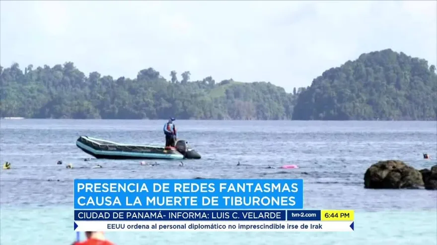 Red fantasma causa muerte de tiburón en Coiba