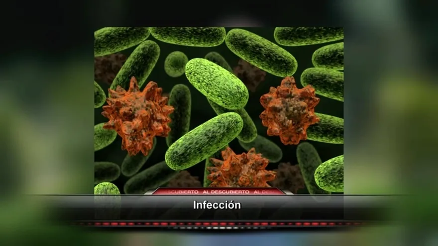 El remedio " La raicilla"