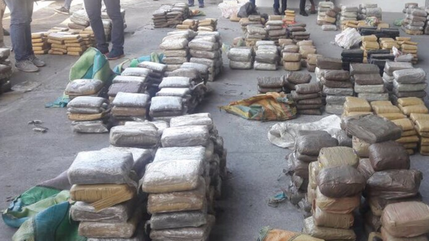 Parte de la droga decomisada