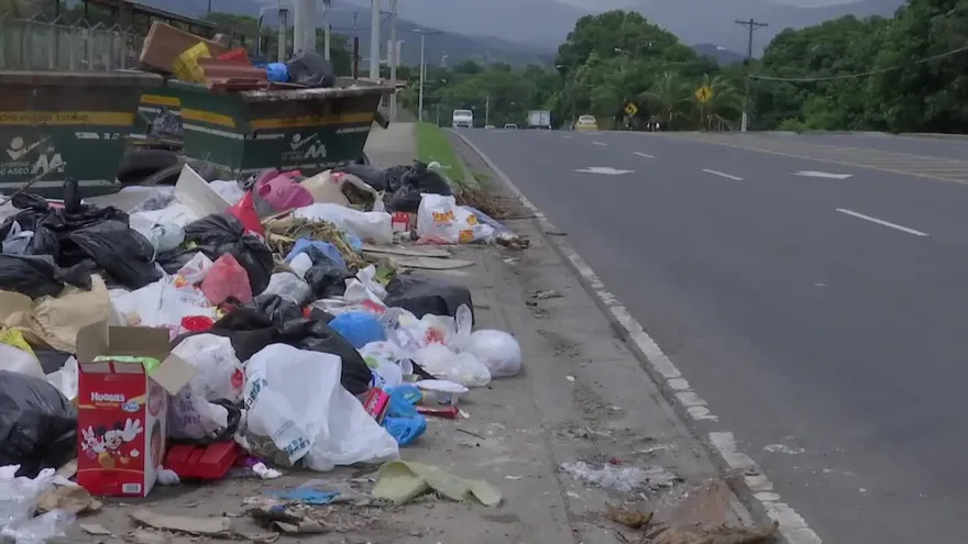 Buscan solucionar problemas de gallinazos en aeropuerto de Tocumen