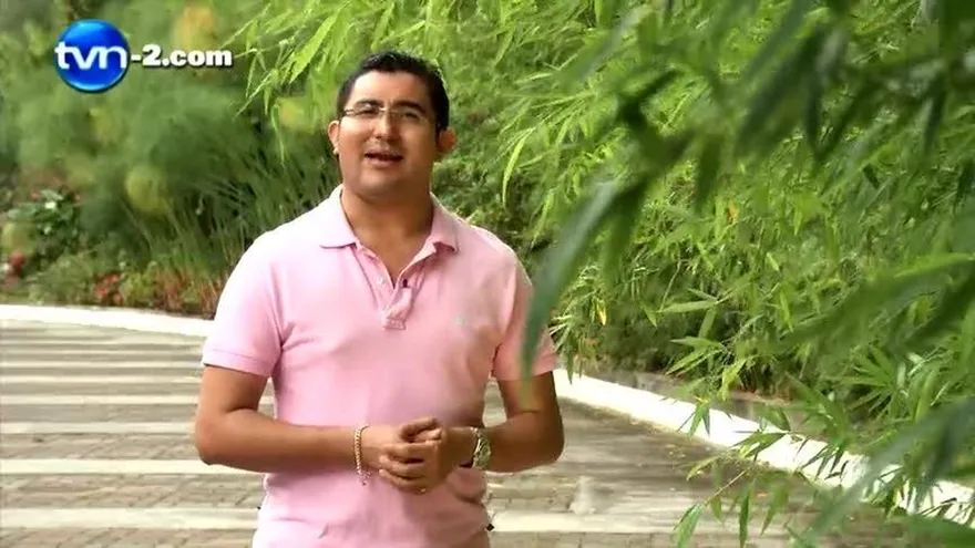 REMEDIO PARA CELULITIS