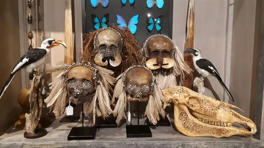 Fotografías cedidas por la tienda-museo Winkel, en la localidad holandesa de Nimega, que ofrece a sus visitantes multitud de objetos.