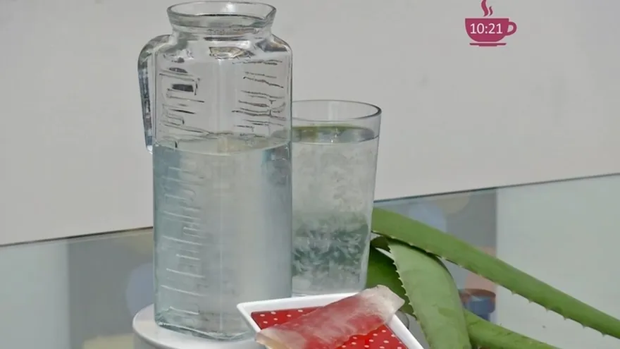 El Elegido del Día: La Sábila