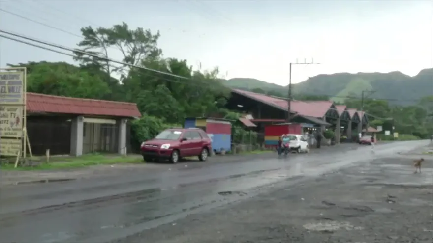 Planeaban realizan un festival de reggae el Viernes Santo