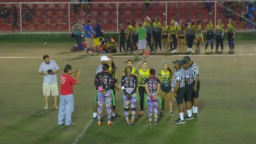 Dragonflies vs Phoenix