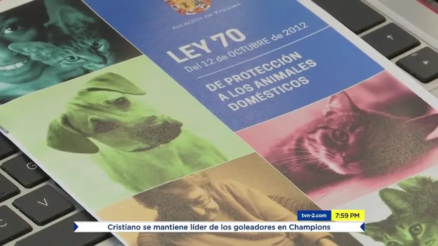 Sigue la discusión sobre la tenencia de animales peligrosos