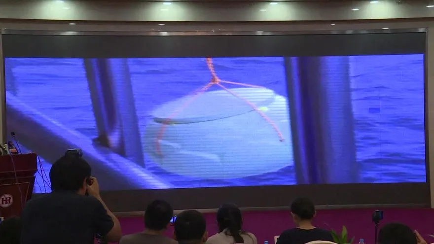 Las cenizas del disidente chino Liu Xiaono terminan el mar