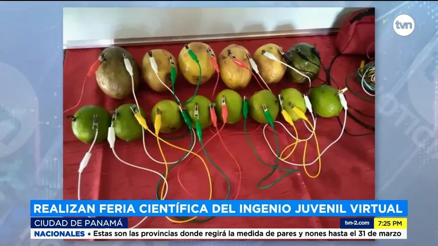 Estudiantes participan en feria científica