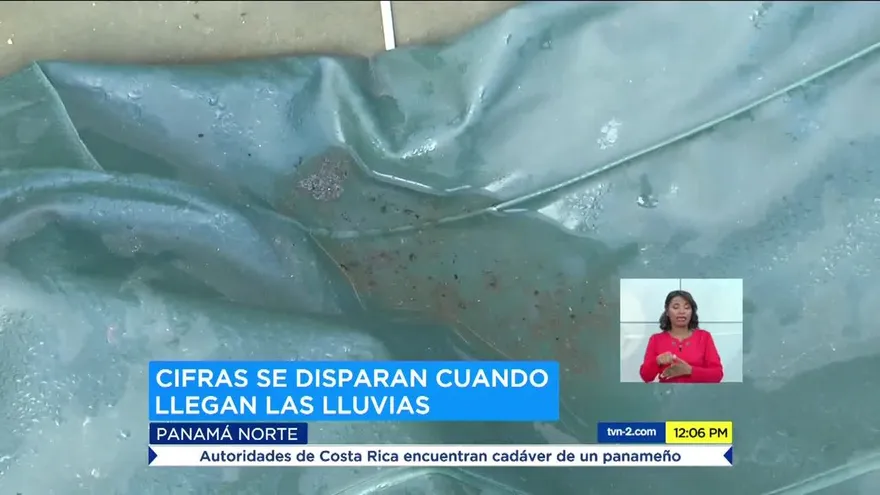 Los casos de dengue en Panamá Norte están en aumento