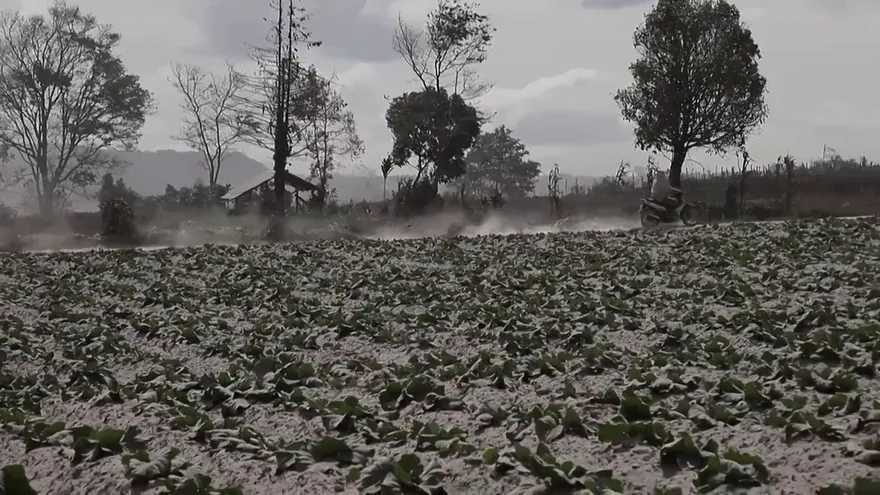 Erupción de monte Sinabung en Indonesia cubre de cenizas la región