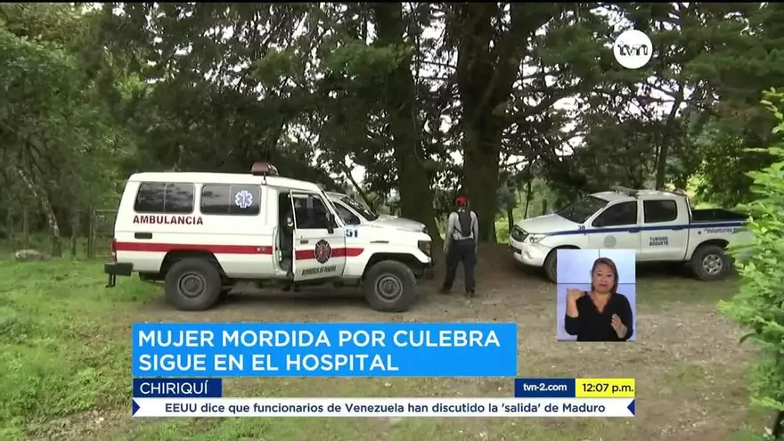 Mujer mordida por culebra permanece en el hospital en Chiriquí