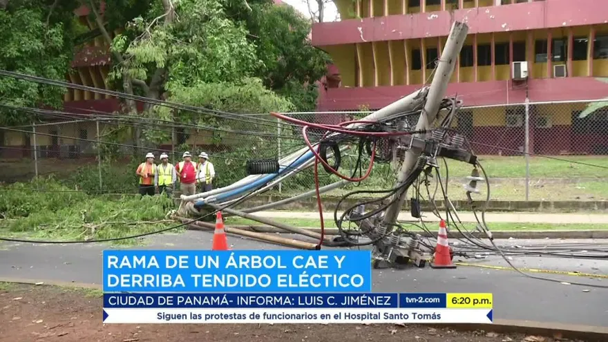 Caída de árbol obstaculiza avenida Manuel Espinoza Batista