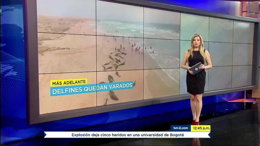 Noticiero MD 26 de septiembre del 2019 - Bloque 3