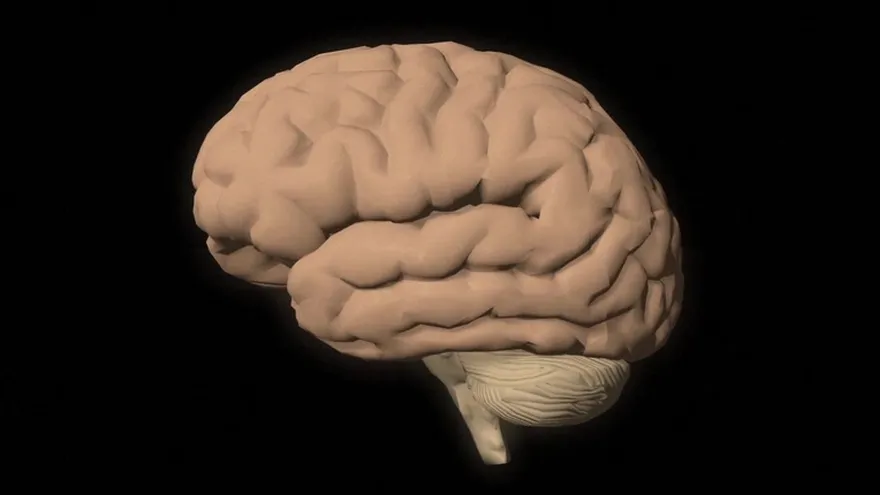 Videografía: El alzheimer