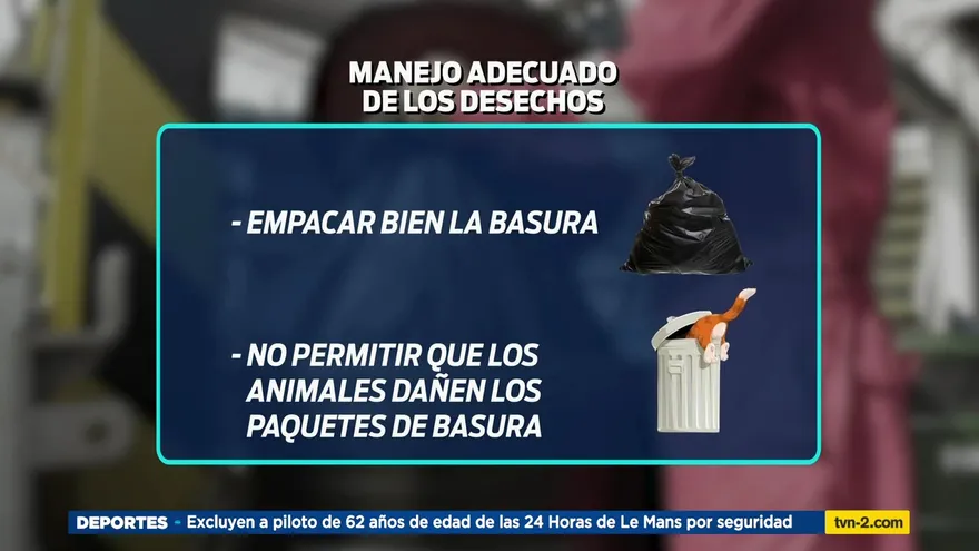 ¿Cómo hacer un manejo adecuado de los desechos?