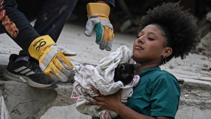 Gato rescatado de los escombros por el sismo en Venezuela