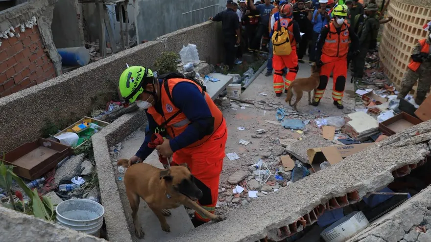 Panamanian rescuers use advanced tech, dogs to search Venezuela quake rubble