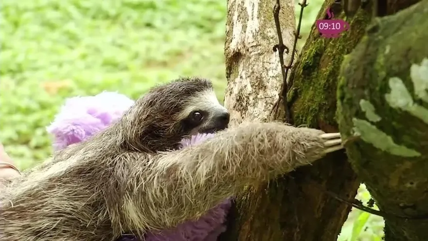 "Summit" un lugar perfecto para disfrutar en familia