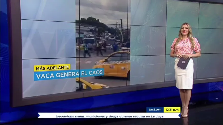 Noticiero MD 24 de octubre del 2019 - Bloque 2