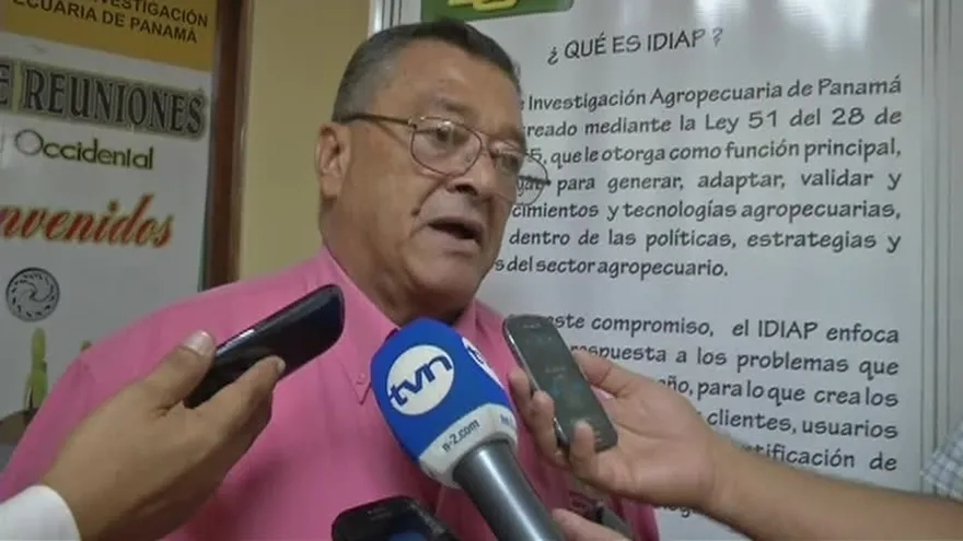 Expertos participarán en el Congreso de Asociación Latinoamericana de la Papa