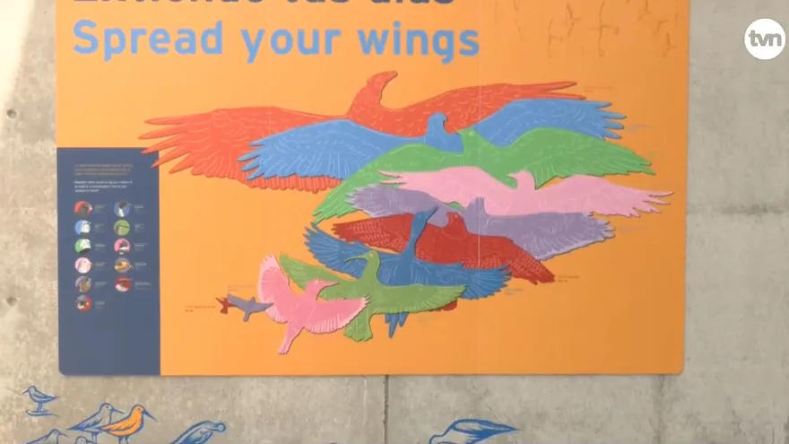 Panamá juega un papel muy importante en la migración de aves