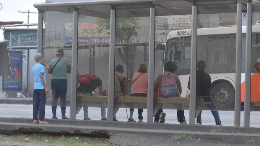 Contenido exclusivo: Paradas, la amarga espera