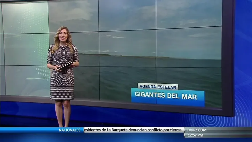 Noticiero MD 19 de octubre de 2017 - Bloque 4