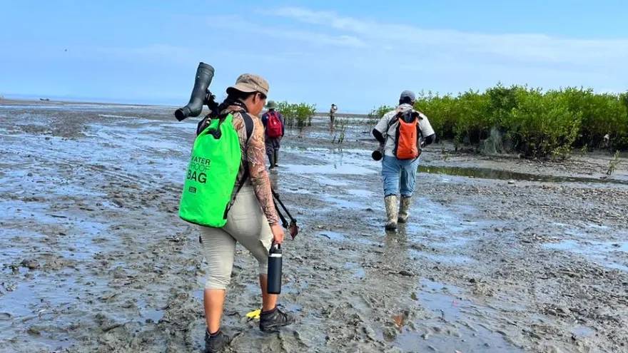 Recorrido en el Humedal Ramsar Punta Patiño, ubicado en Darién