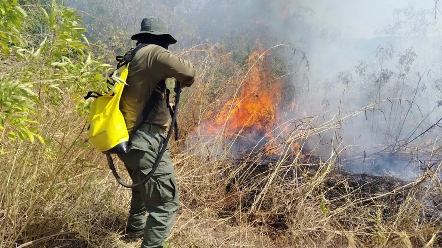 Guardaparques controlan incendio de masa vegetal durante patrullaje en los Manglares de la Bahía de Chame