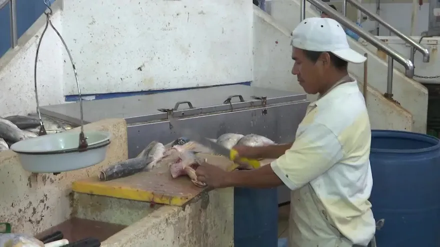 Realizan operativos en el Mercado del Marisco