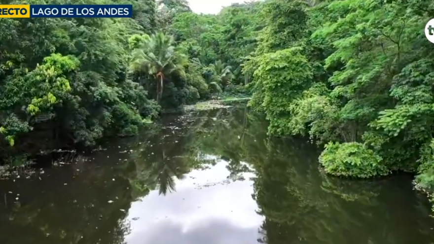 Operativo de Limpieza en lago Los Andes