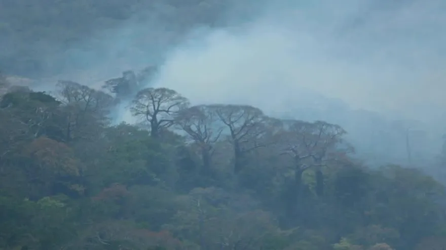Dos mil hectáreas han sido afectadas por incendios forestales en Darién