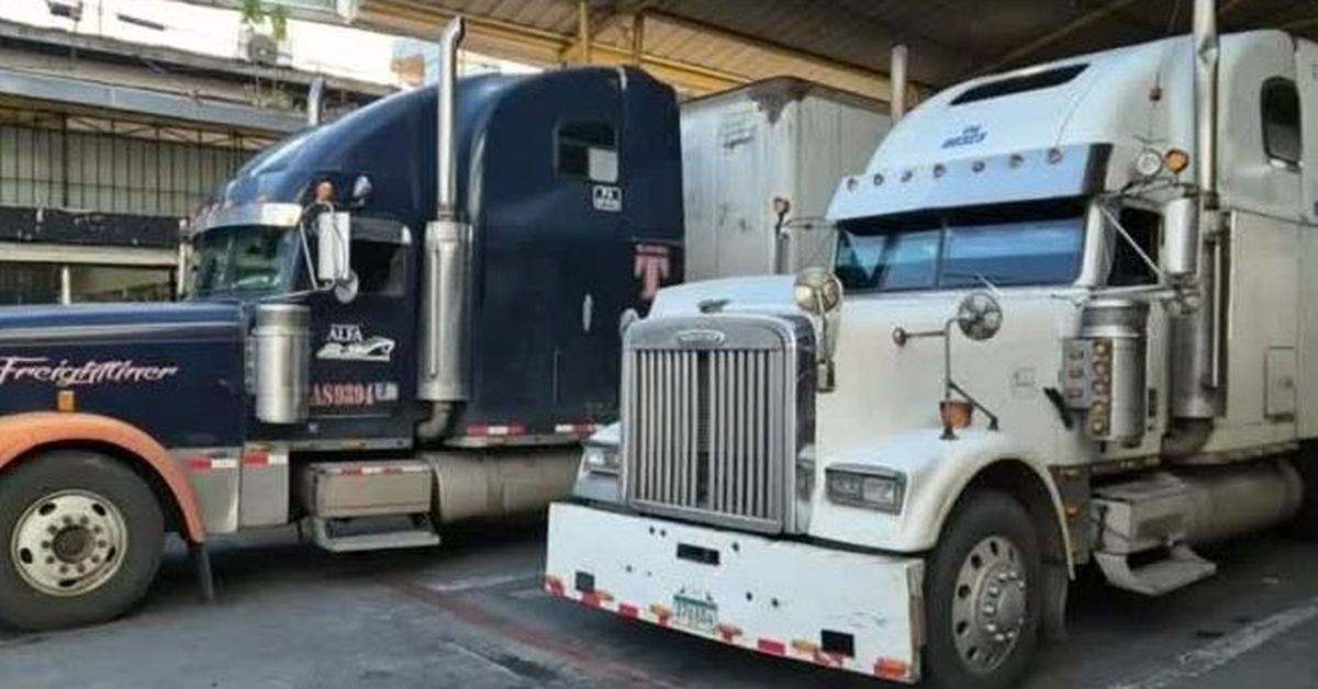 Transportistas de carga denuncian exclusión en subsidio de combustible y advierten impacto logístico