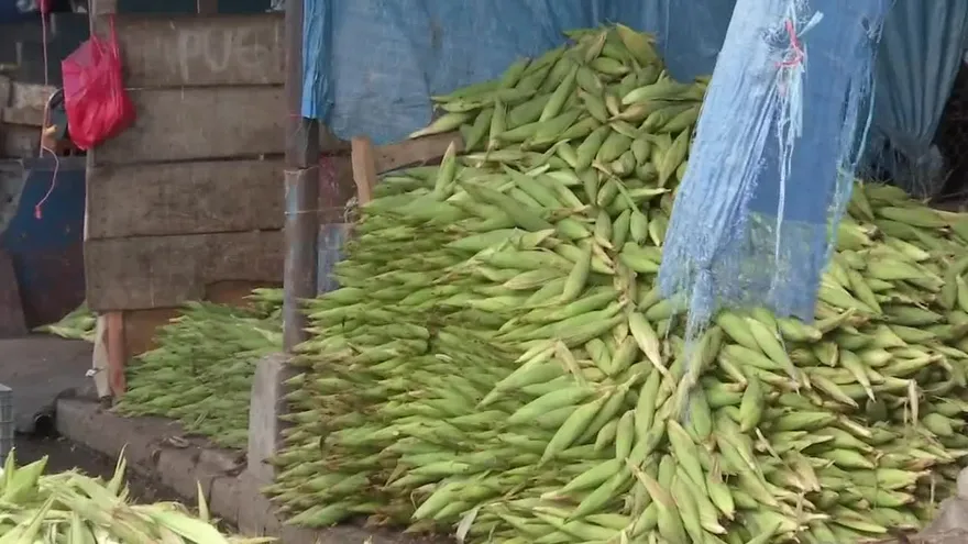 Operativo de salud en el Mercado de Abastos