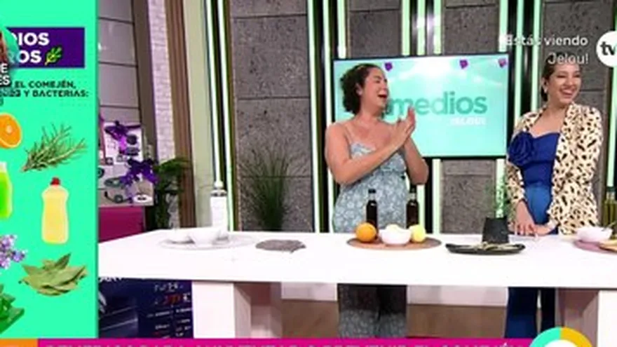 Remedios caseros para prevenir el comején