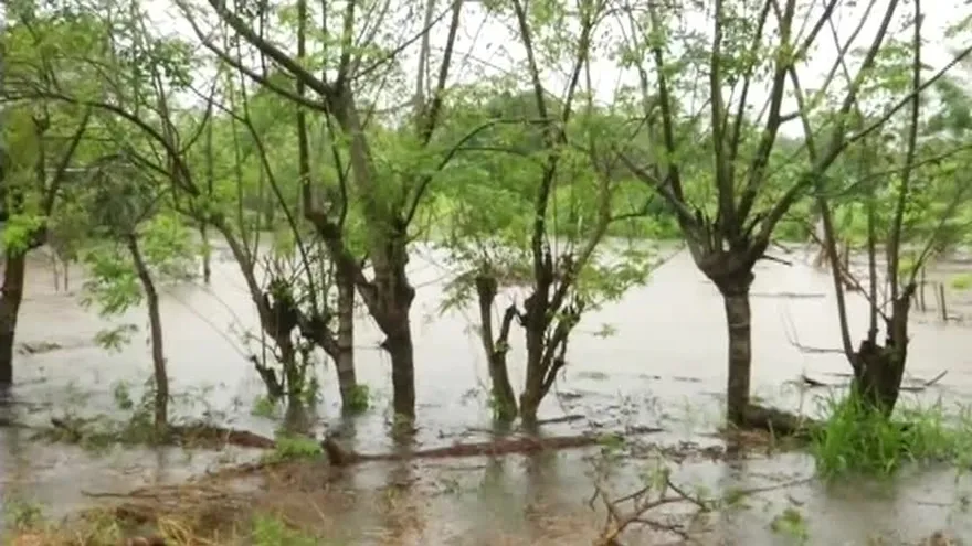 Sectores de Alanje, afectados por inundaciones