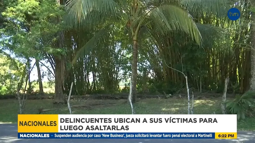 Banda de delincuentes atemoriza a productores de zonas fronterizas de Chiriquí