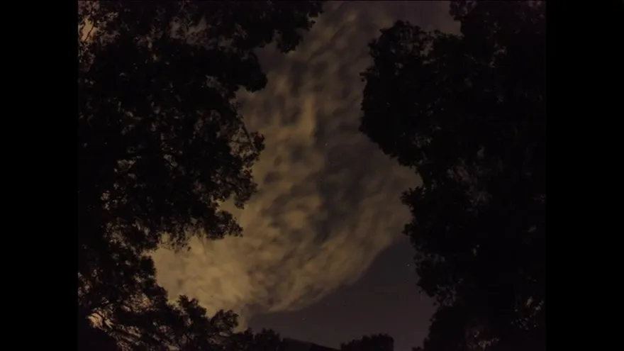 Llueven estrellas sobre el cielo de Estados Unidos