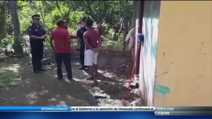 Bebé lanzado a letrina sobrevive