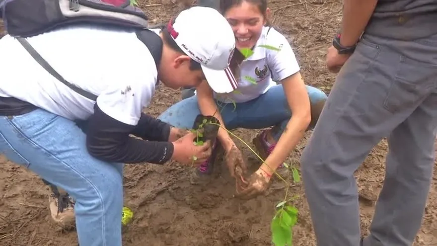 Llevan a cabo jornada de reforestación, gobierno creará el día del voluntariado