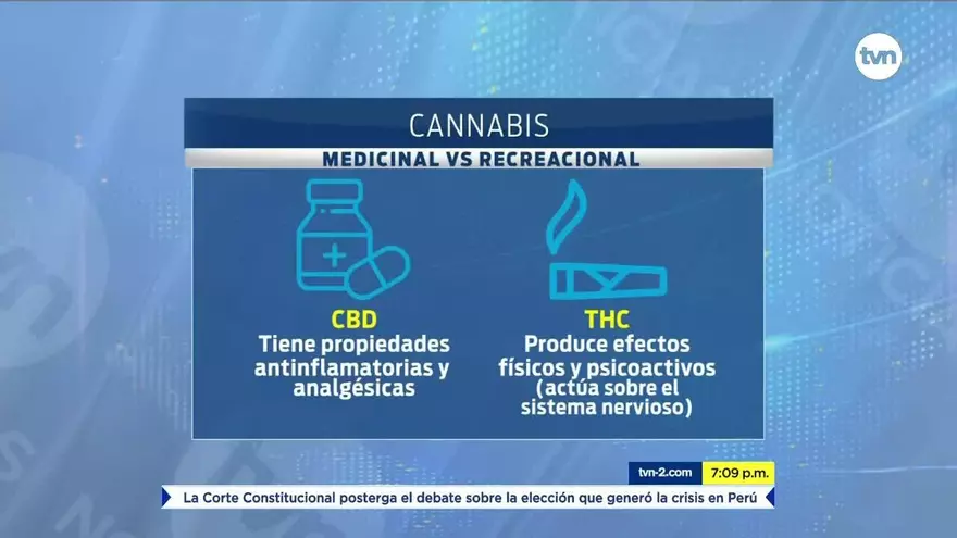 Conflicto por ley que regula el Cannabis medicinal en Panamá
