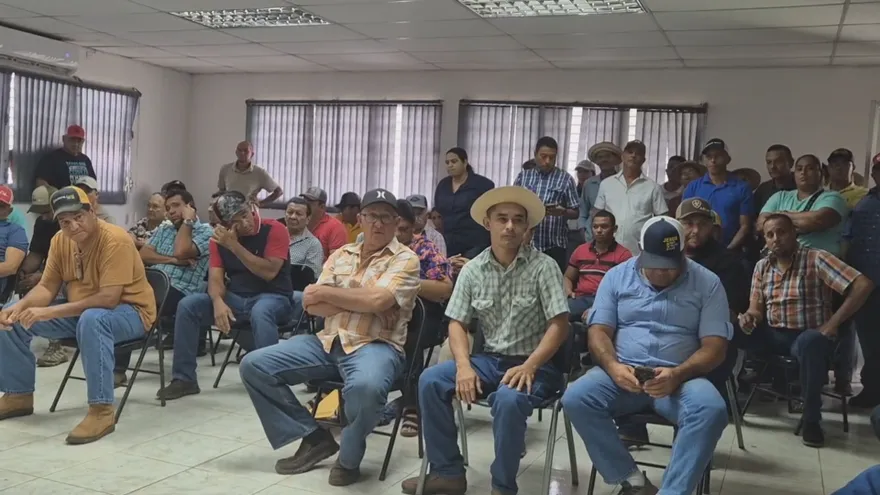 Productores de maíz de Los Santos se reunieron con funcionarios del MIDA para exigir el pago