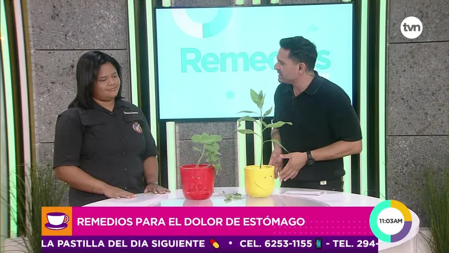 Conoce estos remedios para el dolor de estómago