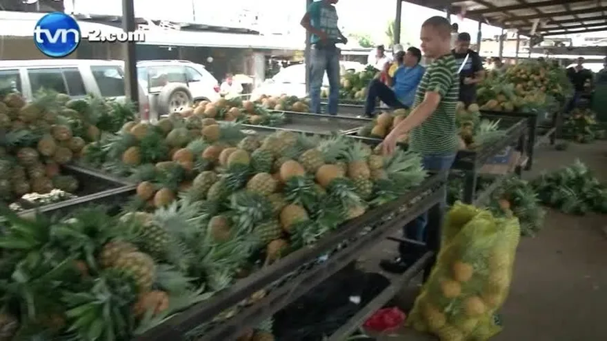 Legumbres y frutas utilizadas por narcotraficantes para camuflajear la droga
