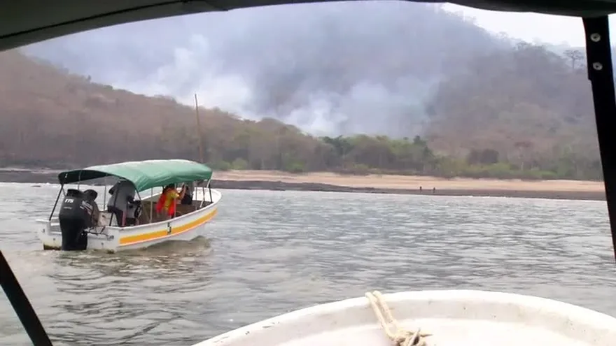 El difícil trabajo de proteger los bosques en Darién