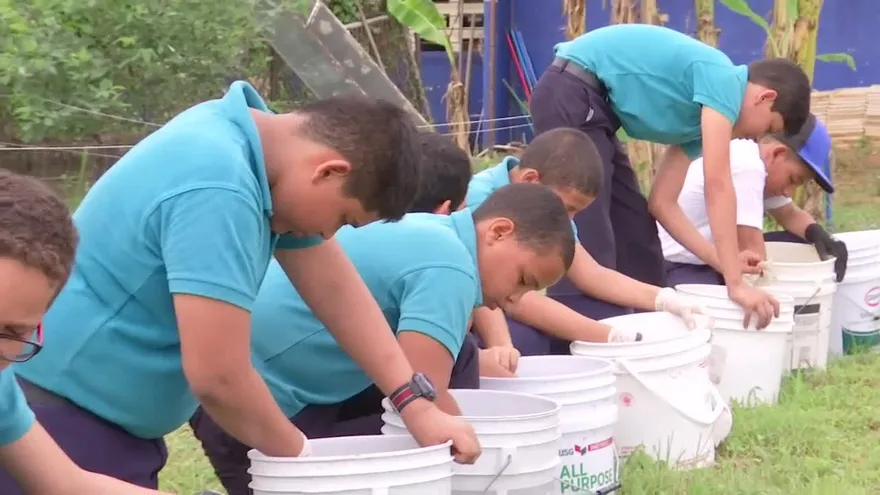 La cosecha de los estudiantes en los huertos urbanos