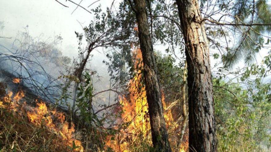 Incendio forestal provoca evacuaciones en Alaska
