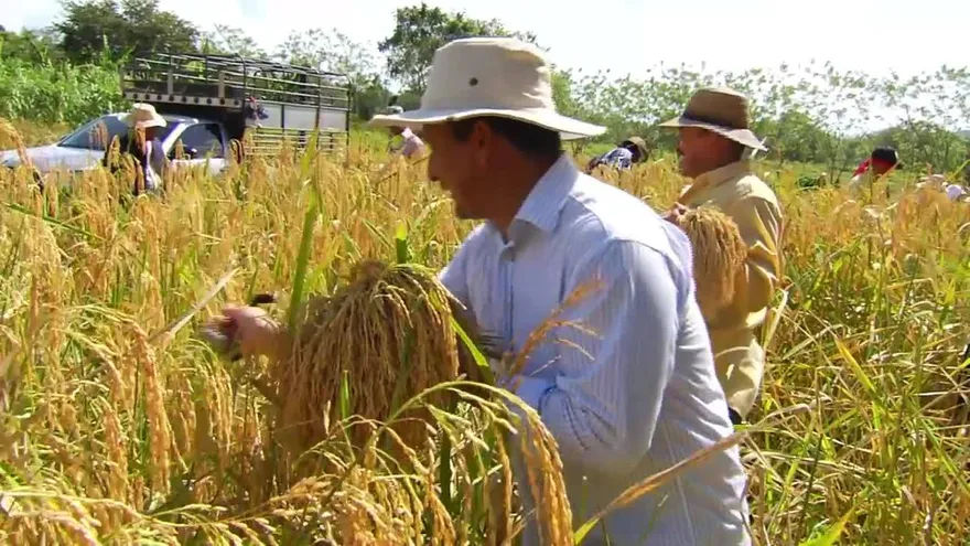 Hecho en Panamá 09 de febrero de 2019