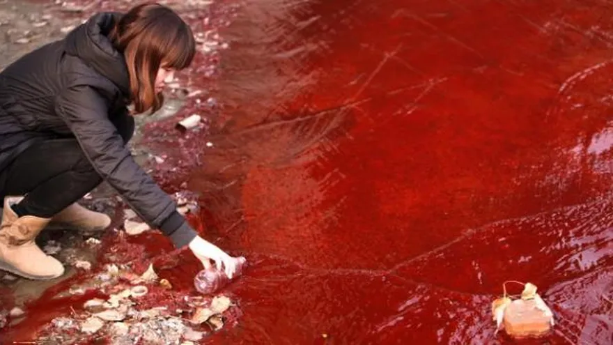 Río se tiñe de rojo por contaminación