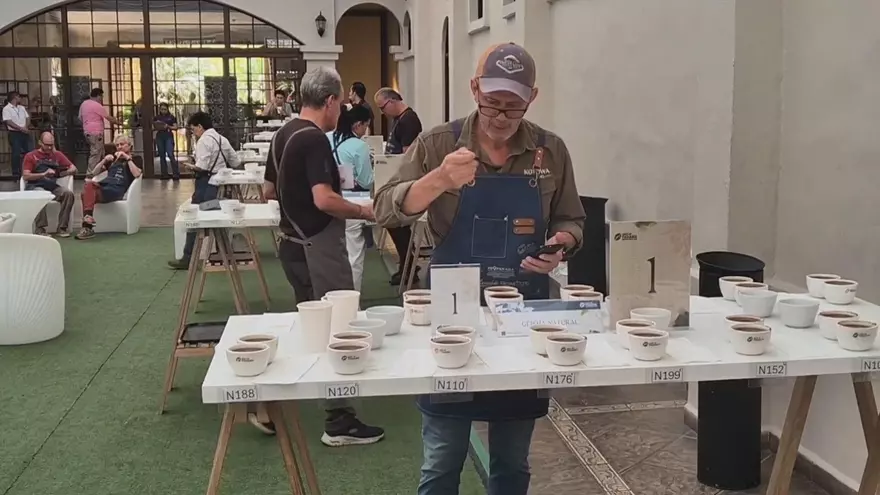 Best of Panamá